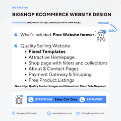 BigShop Ecommerce Website Design
