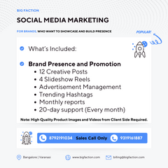 Social Media Marketing Basic Service